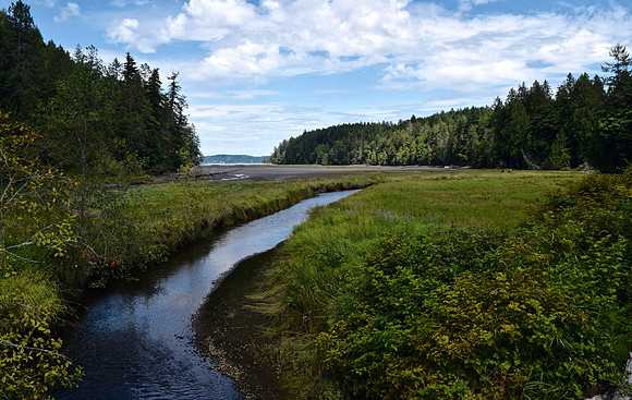 DSC_0419