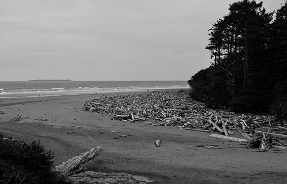 DSC_0567