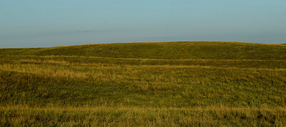 DSC_0325