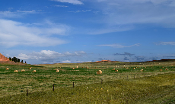 DSC_0332