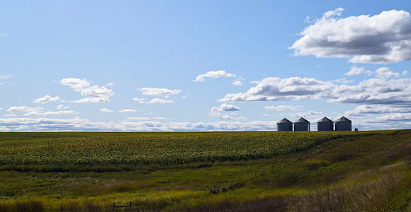 DSC_0555