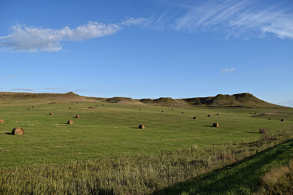 DSC_0692