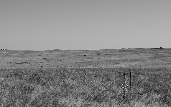 DSC_0292