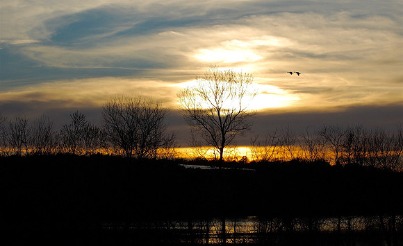 DSC_0037_2