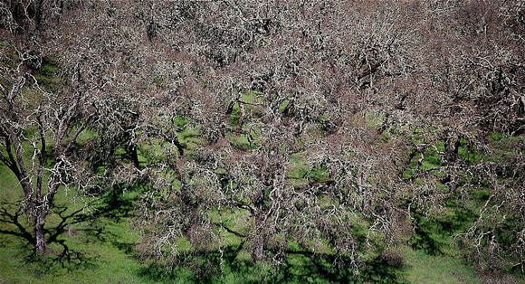 DSC_0003_2