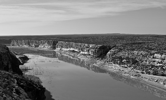 DSC_0042 (2)