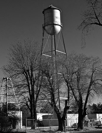 DSC_0079 (2)