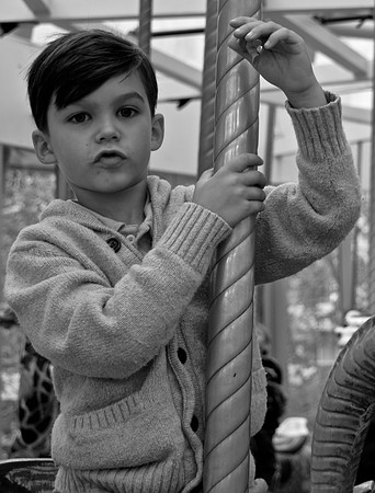 DSC_0117 (3)