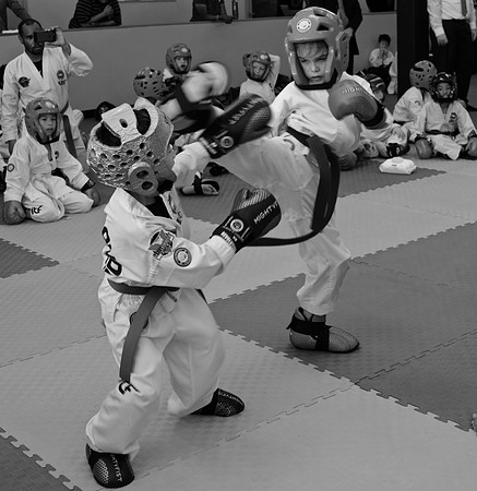 DSC_0166 (3)