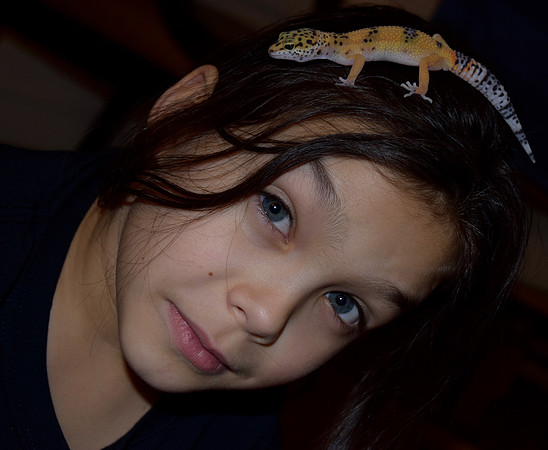 DSC_0202 (4)