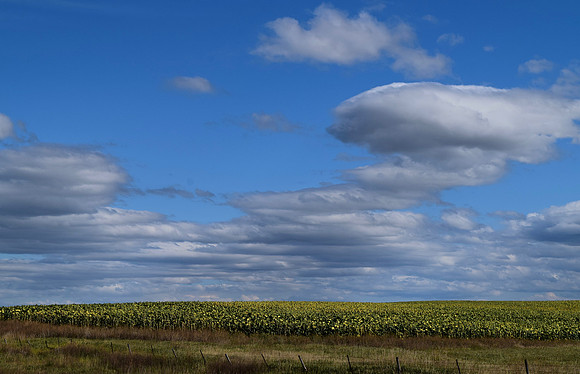 DSC_0557