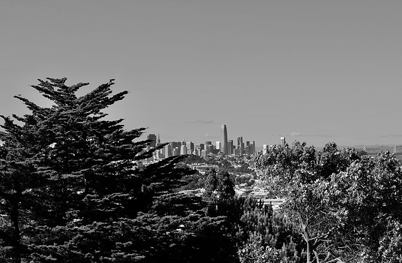 DSC_0054