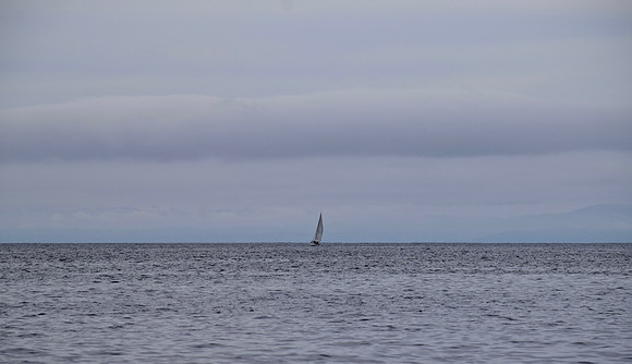 DSC_0104