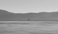 DSC_0002