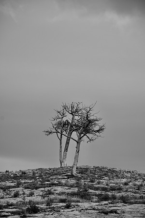 DSC_0145