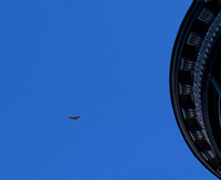 DSC_0003 (4)
