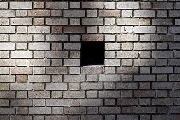 DSC_0290