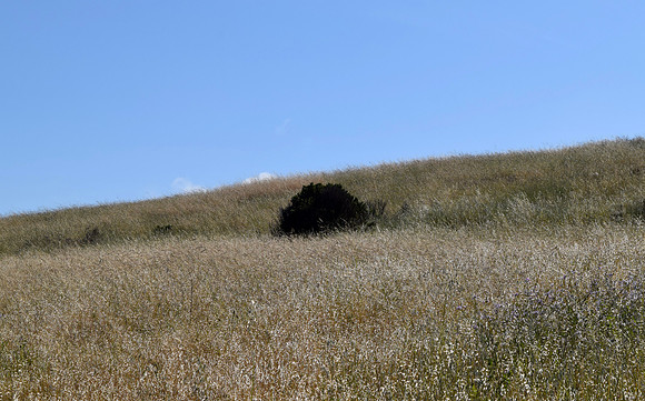 DSC_0038