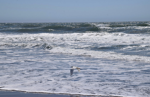 DSC_0218