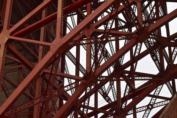 DSC_0021 (6)