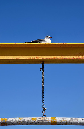 DSC_0135