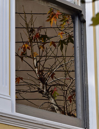 DSC_0012