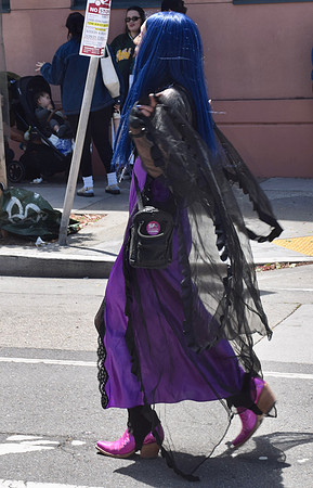 DSC_0245
