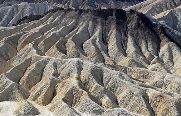 DSC_0040