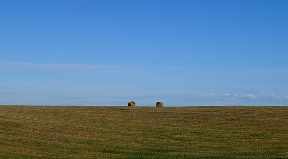 DSC_0607