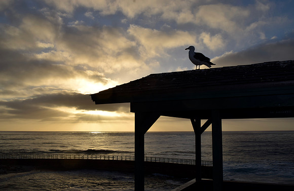 DSC_0077 (1)