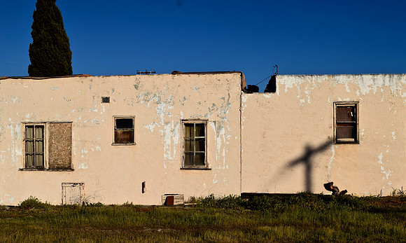 DSC_0462 (1)