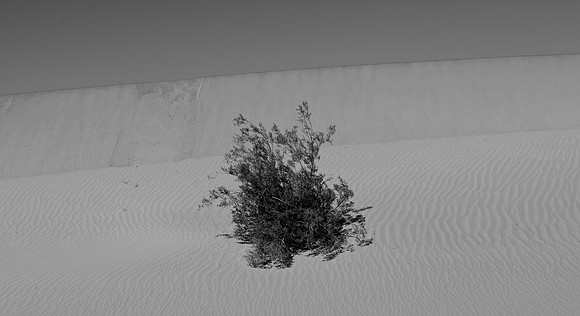 DSC_0191