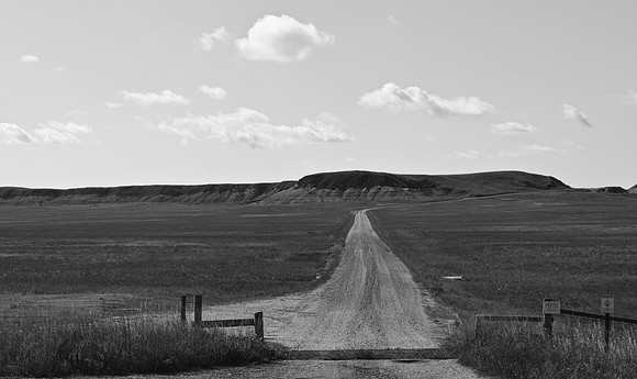DSC_0472