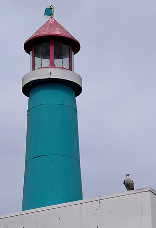 DSC_0003