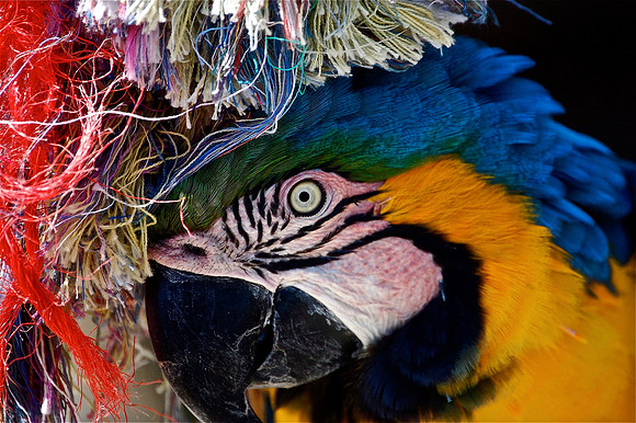 DSC_0055.JPG