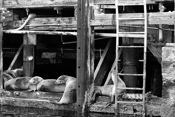 DSC_0066 (2)