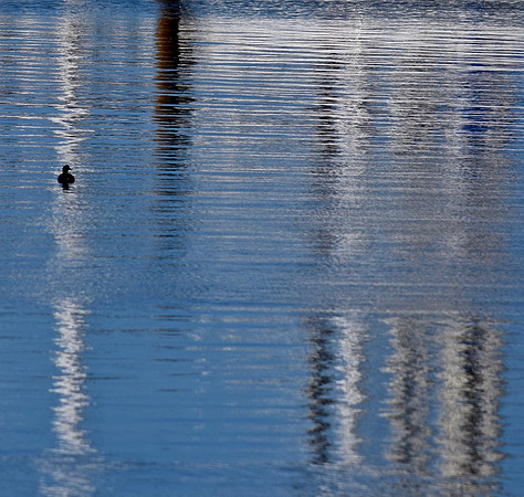 DSC_0094