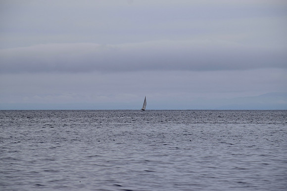 DSC_0104