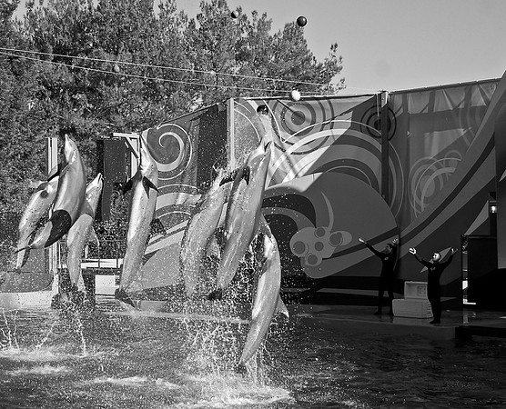 DSC_0181
