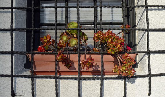 DSC_0044