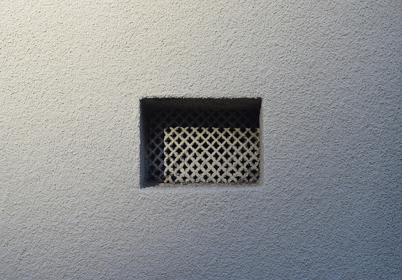 DSC_0049