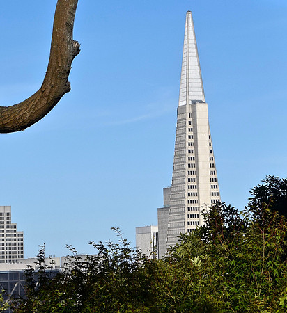 DSC_0018