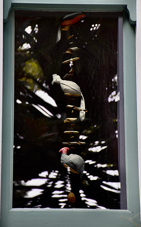 DSC_0041