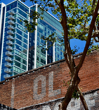 DSC_0037