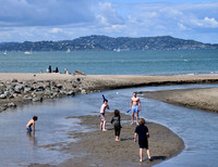 SF Walks 2024