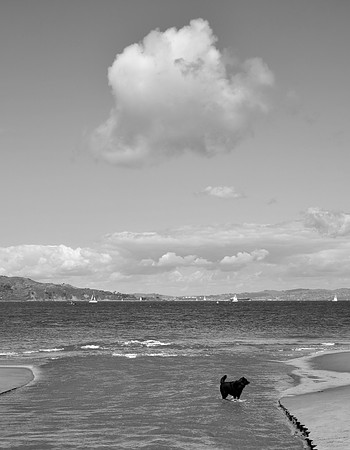 DSC_0024