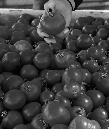 DSC_0026