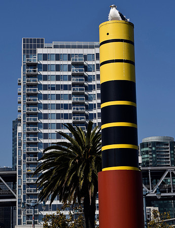 DSC_0084