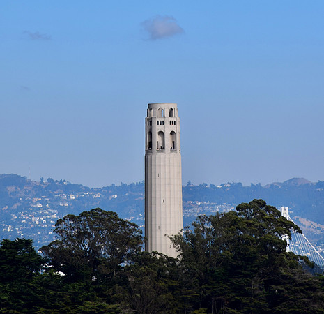 DSC_0217