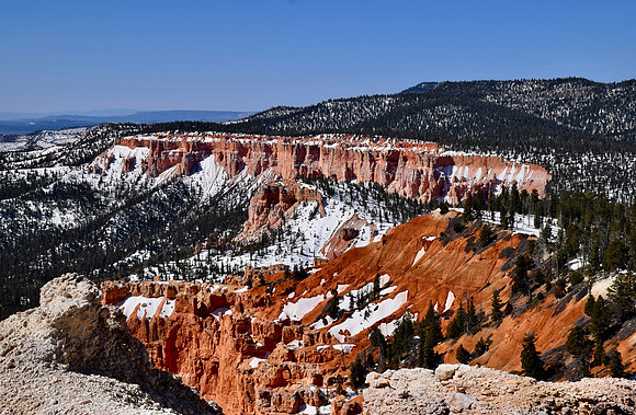 DSC_0090